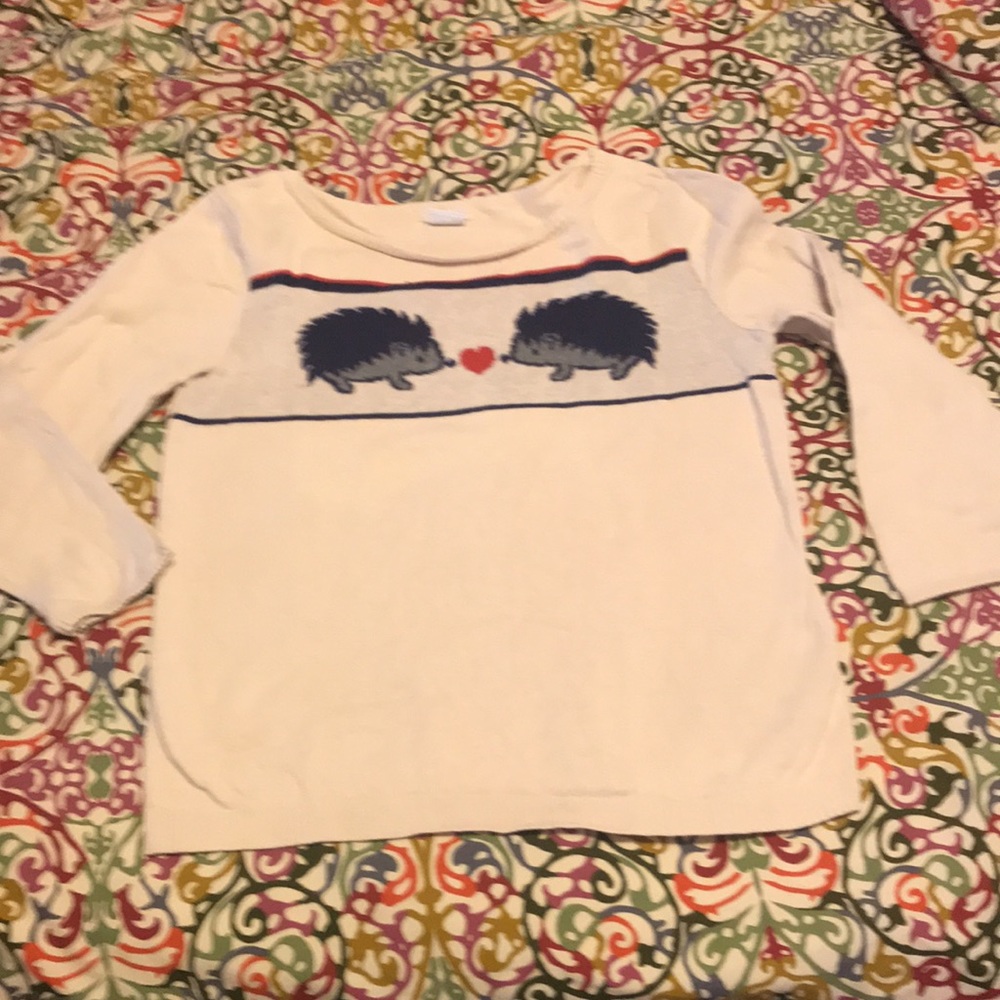 Hedgehog ❤️ Sweater